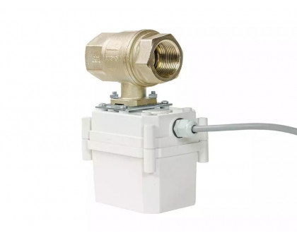Шаровый кран с электроприводом PROFESSIONAL 220V ENOLGAS 1 ½” (11022045) Шаровый кран с электроприводом PROFESSIONAL 220V ENOLGAS 1 ½” (11022045)